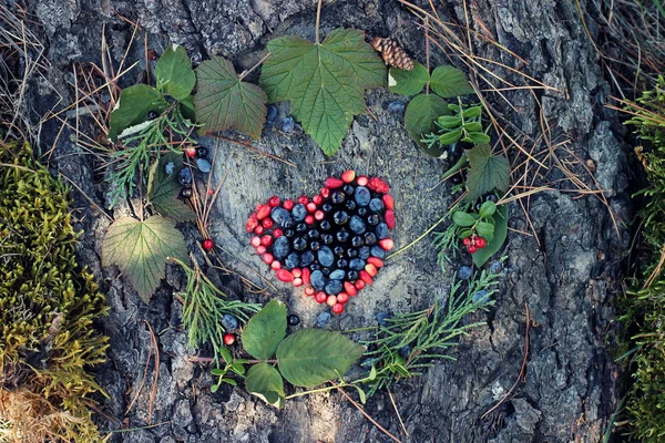 A variety of wild berries in the shape of heart as a symbol of Valentine and love at natural background. cowberry, honeysuckle, black currant, raspberries, barberry, juniper. — Stock Photo, Image