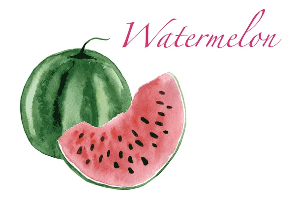 Watermelon diisolasi pada latar belakang putih gambar vektor cat air . - Stok Vektor