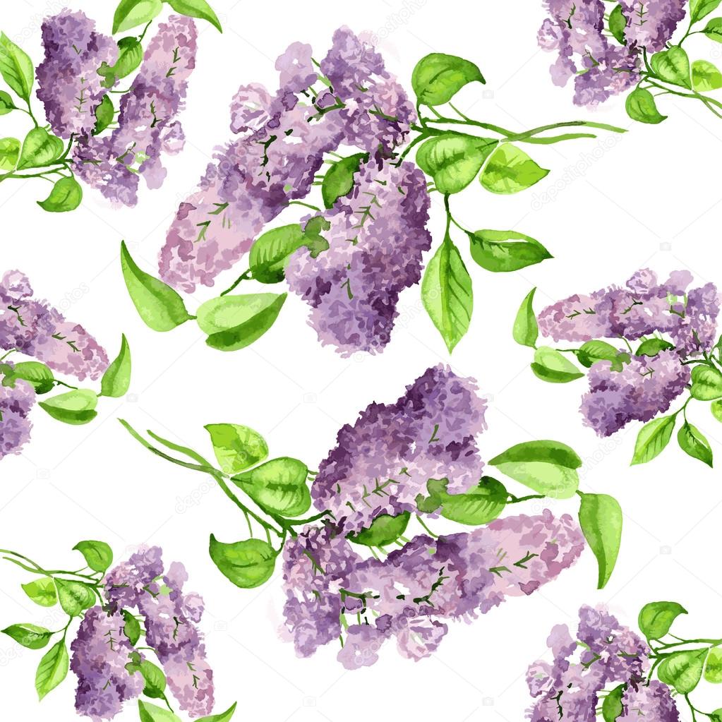 Blooming lilac branch pattern. Pink and violet watercolor flowers isolated on white background. Floral pattern.