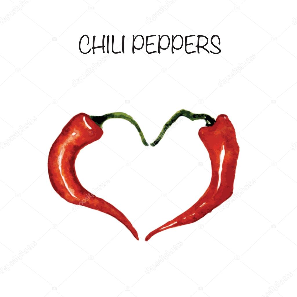 Chili pepper vector watercolor illustration. Spicy food illustration.