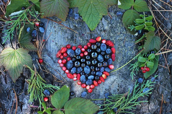 A variety of wild berries in the shape of heart as a symbol of Valentine and love at natural background. cowberry, honeysuckle, black currant, raspberries, barberry, juniper. — Stock Photo, Image