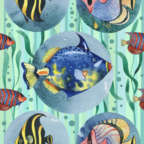 열 대 물고기와 수채화 원활한 손으로 그려진된 패턴. — 스톡 사진