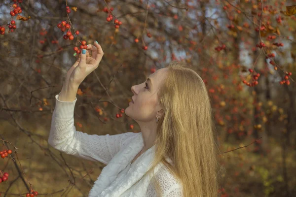 La chica con el pelo largo mirando los árboles caídos en el bosque de otoño — Foto de Stock