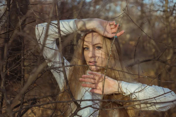 Irl se cuela entre los arbustos en el bosque de otoño — Foto de Stock