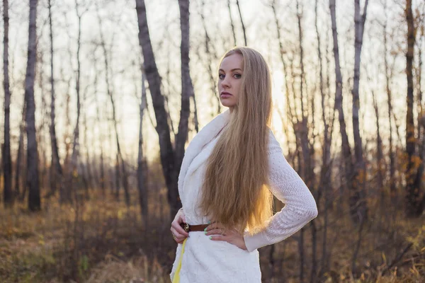 Mooi meisje die zich voordeed op de achtergrond van herfst bos — Stockfoto
