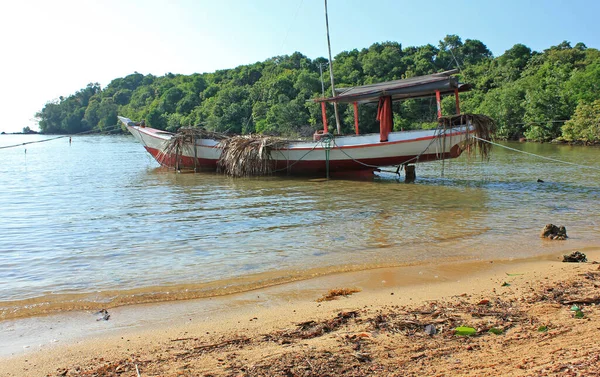 Традиційні Рибальські Човни Або Каное Пляжі Деревами Або Видом Ліс — стокове фото