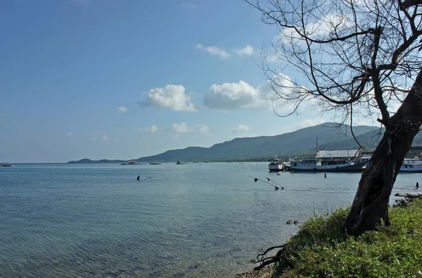 Παραλία Θάλασσα Σάπιο Δέντρο Και Γαλάζιο Ουρανό Απόγευμα — Φωτογραφία Αρχείου