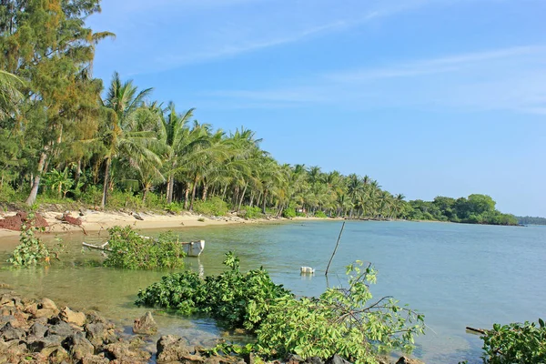 Plage Avec Sable Arbres Forêt Cocotiers Ciel Bleu Après Midi — Photo