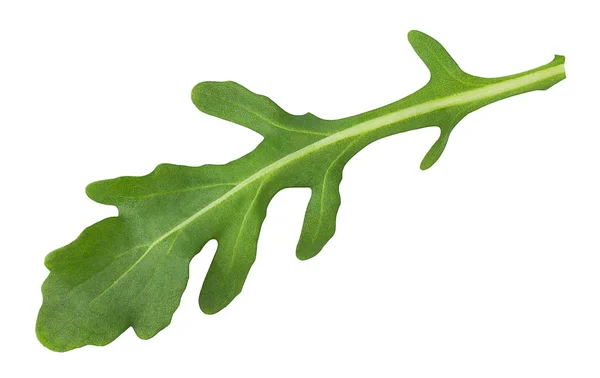 Rucola lasciare isolato su sfondo bianco — Foto Stock