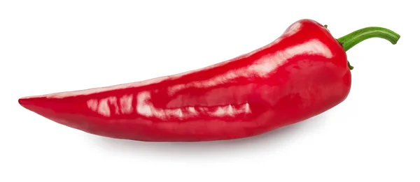 Красный сладкий острый перец capsicum изолированы на белом — стоковое фото
