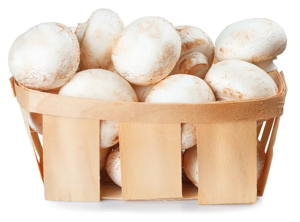 Mushrooms champignon in a wicker basket isolated on white — Stock Photo, Image
