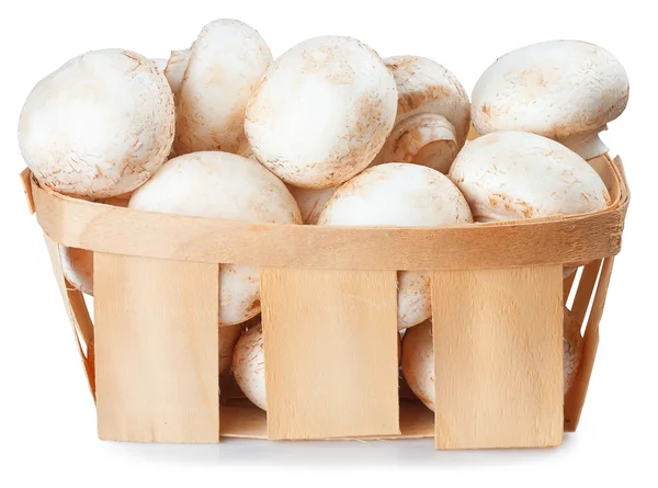 Pilze Champignon in einem Weidenkorb isoliert auf weiß — Stockfoto