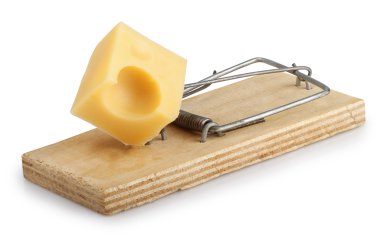 Mousetrap with cheese isolated on white clipart
