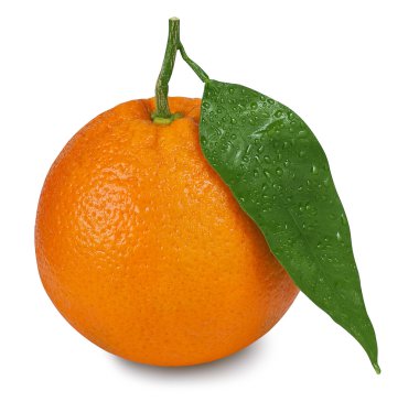 turuncu beyaz zemin üzerine yaprakları ile