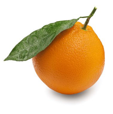 narenciye meyve portakal yaprağı üzerinde beyaz izole