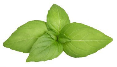 Fesleğen yaprakları beyaz arkaplanda izole