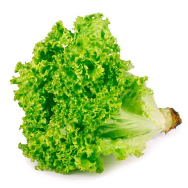 Beyaz arka plan üzerinde izole yeşil marul avuç