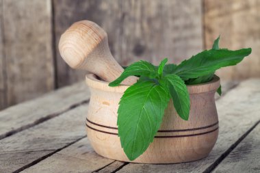 Ahşap zemin üzerine harç içinde taze nane