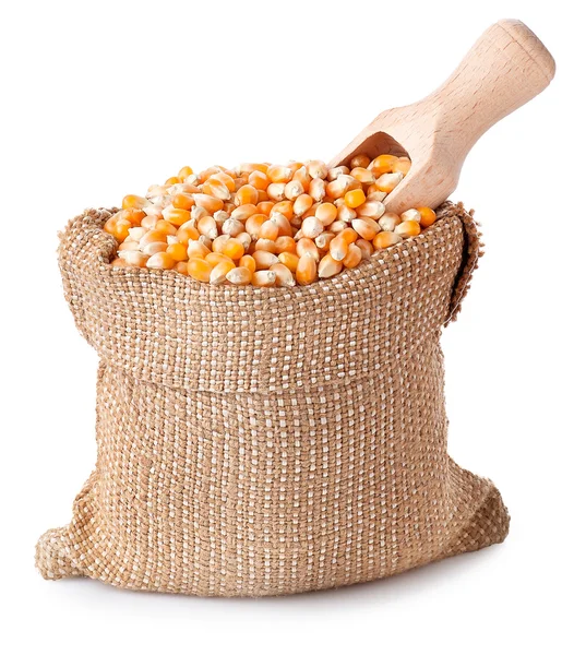 Grãos de milho em saco com colher isolada sobre fundo branco — Fotografia de Stock
