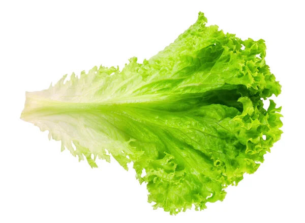 Fresh lettuce isolated on white top view — Stock Photo, Image