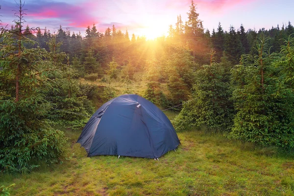tent in forest at sunset or sunrise