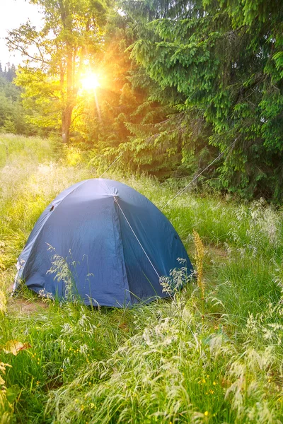 Tält på ängen i skogen vid soluppgången — Stockfoto