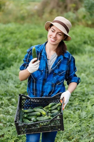 Agricoltore donna con scatola di cetrioli raccolti — Foto Stock