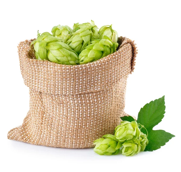 Hop cones in burlap bag  isolated on white — Stock Photo, Image