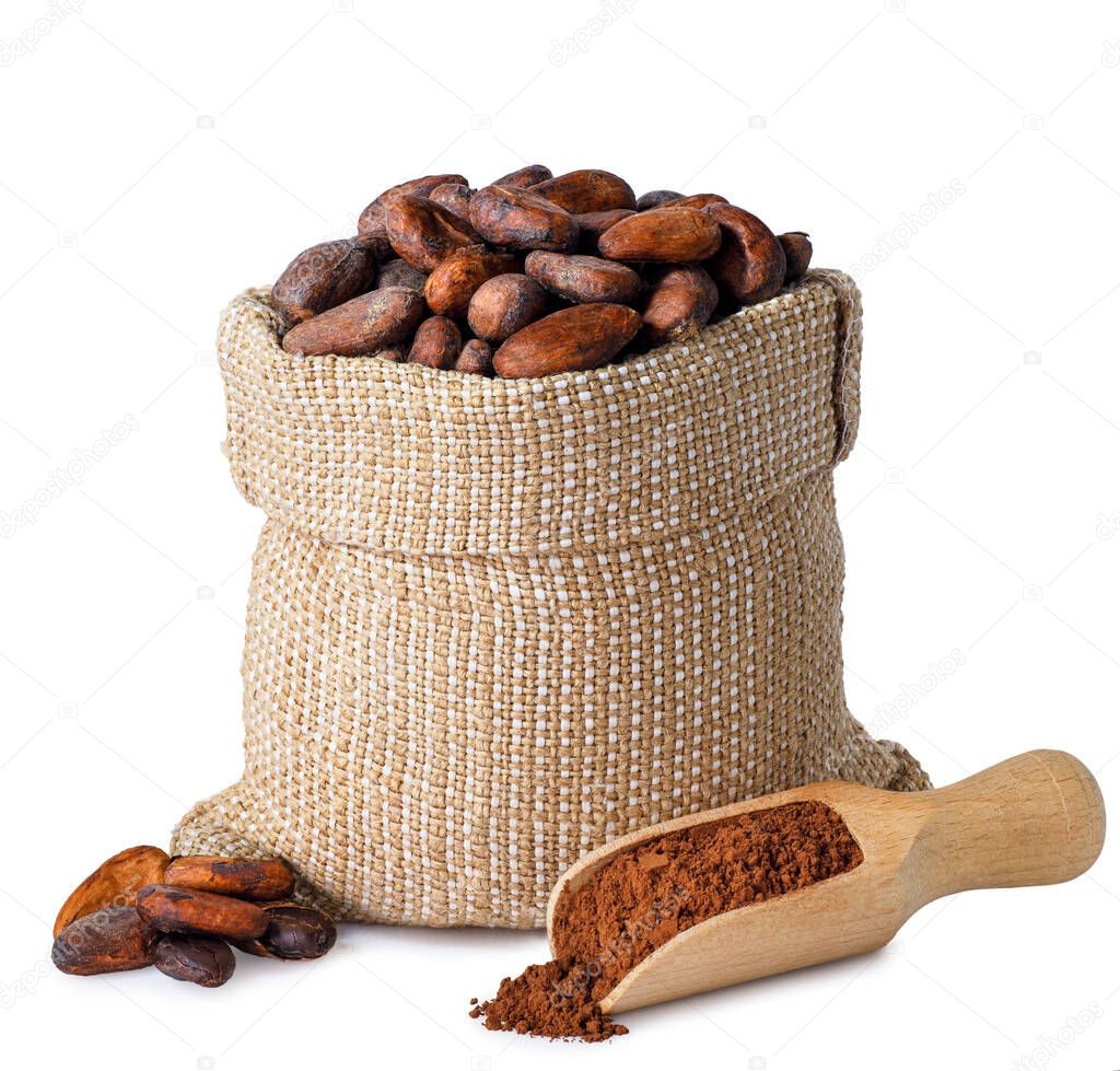 cacao beans in bag