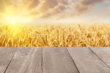 wooden empty table with golden field