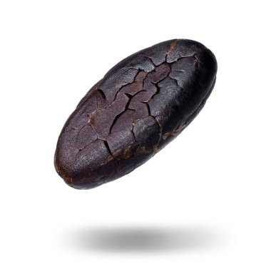 cacao bean flying in the air