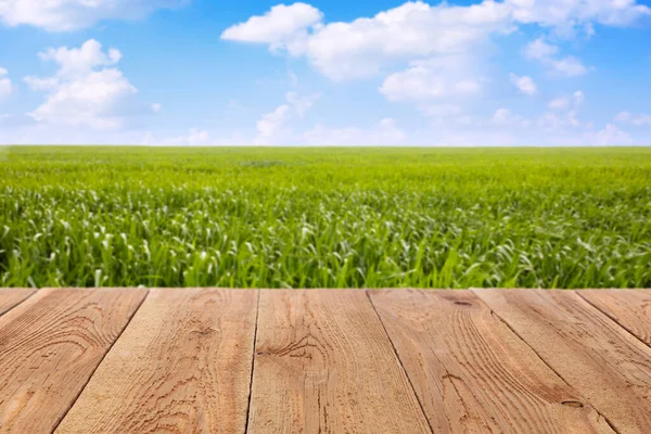 Wooden table against green grass and blue sky — ストック写真