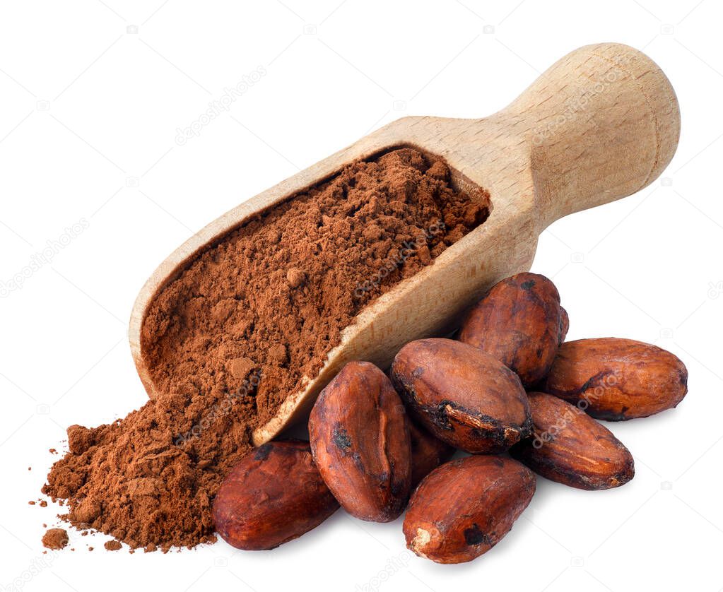 cacao powder in wooden scoop