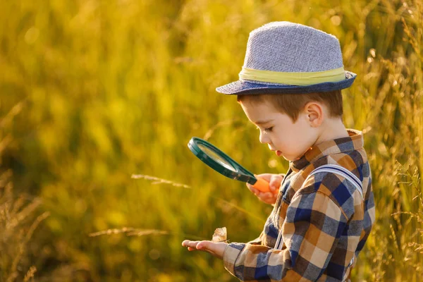 小男孩拿着放大镜在草地上探索大自然 — 图库照片