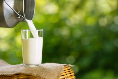 süt metal kutudan cama dökülüyor.