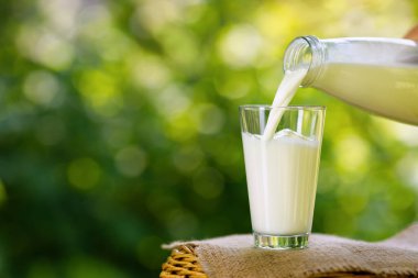 Süt şişeden bardağa doluyor.