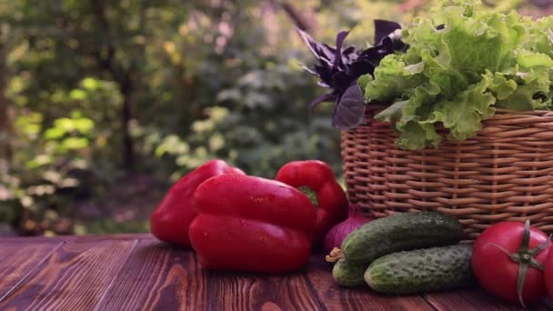 Frisches Bauerngemüse auf dem Tisch im Garten — Stockvideo