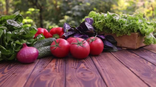 Légumes frais de ferme sur la table dans le jardin — Video