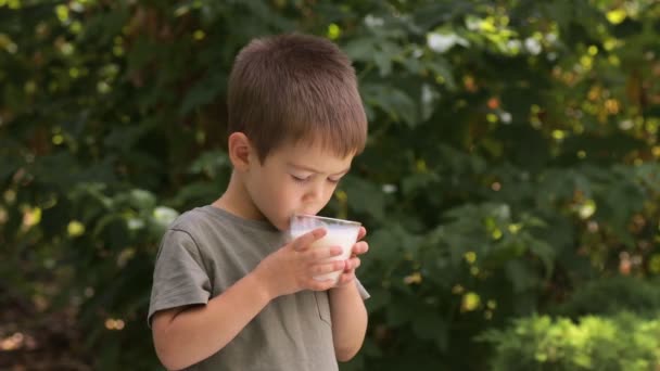 Liten pojke dricka mjölk utomhus — Stockvideo