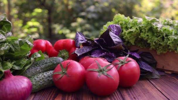 Verduras frescas de granja en la mesa en el jardín — Vídeo de stock