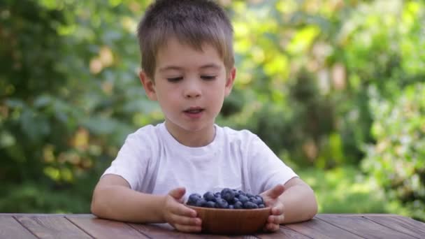 Zábava malý chlapec jíst borůvky z dřevěné mísy — Stock video