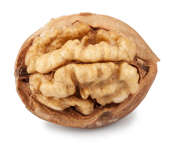 Half walnut isolate — Stock Photo, Image