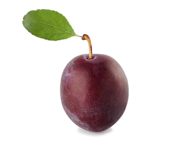 Plum isolate on white — Stock Photo, Image