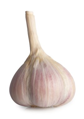 baş sarımsak beyaz izole