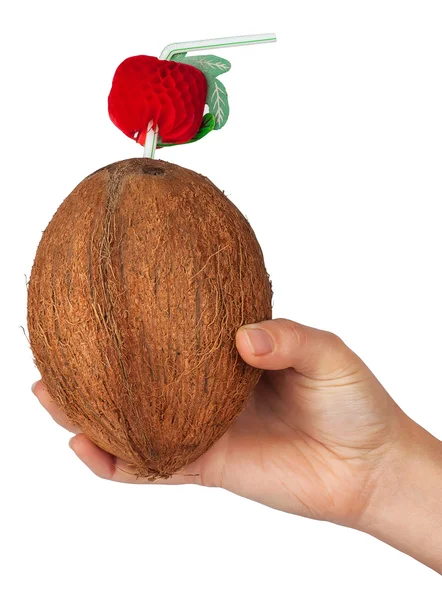 Cocktail in a coconut with a straw in a woman's hand — Stock Photo, Image