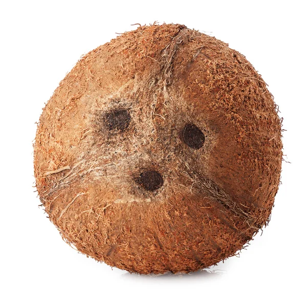 Reife Kokosnuss auf weißem Hintergrund — Stockfoto
