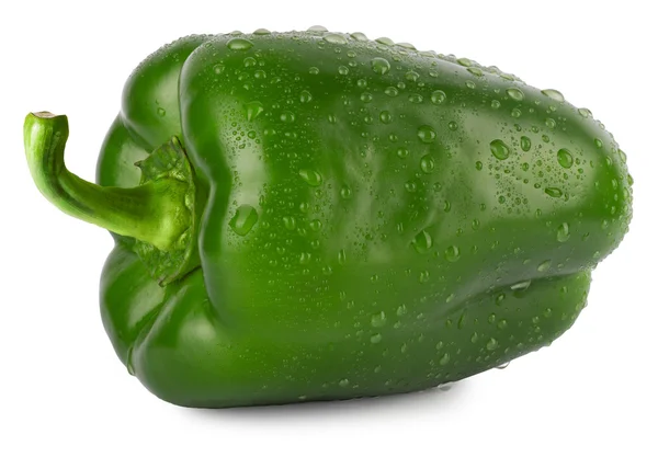 Green pepper with water droplets isolated on white — Stock Photo, Image