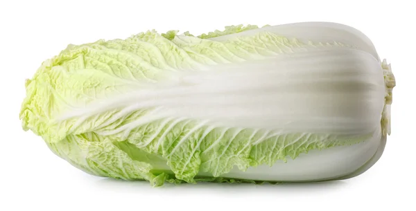 Κινέζικο λάχανο Απομονωμένο σε λευκό φόντο — Φωτογραφία Αρχείου