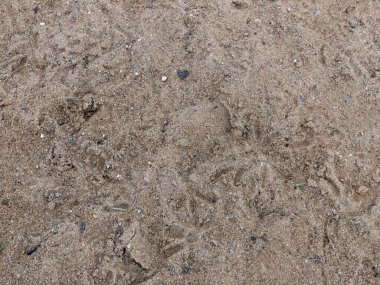 Güzel bir arka plan, doku, reklam logoları için çok uygun.