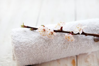 Spa ve sağlık seti